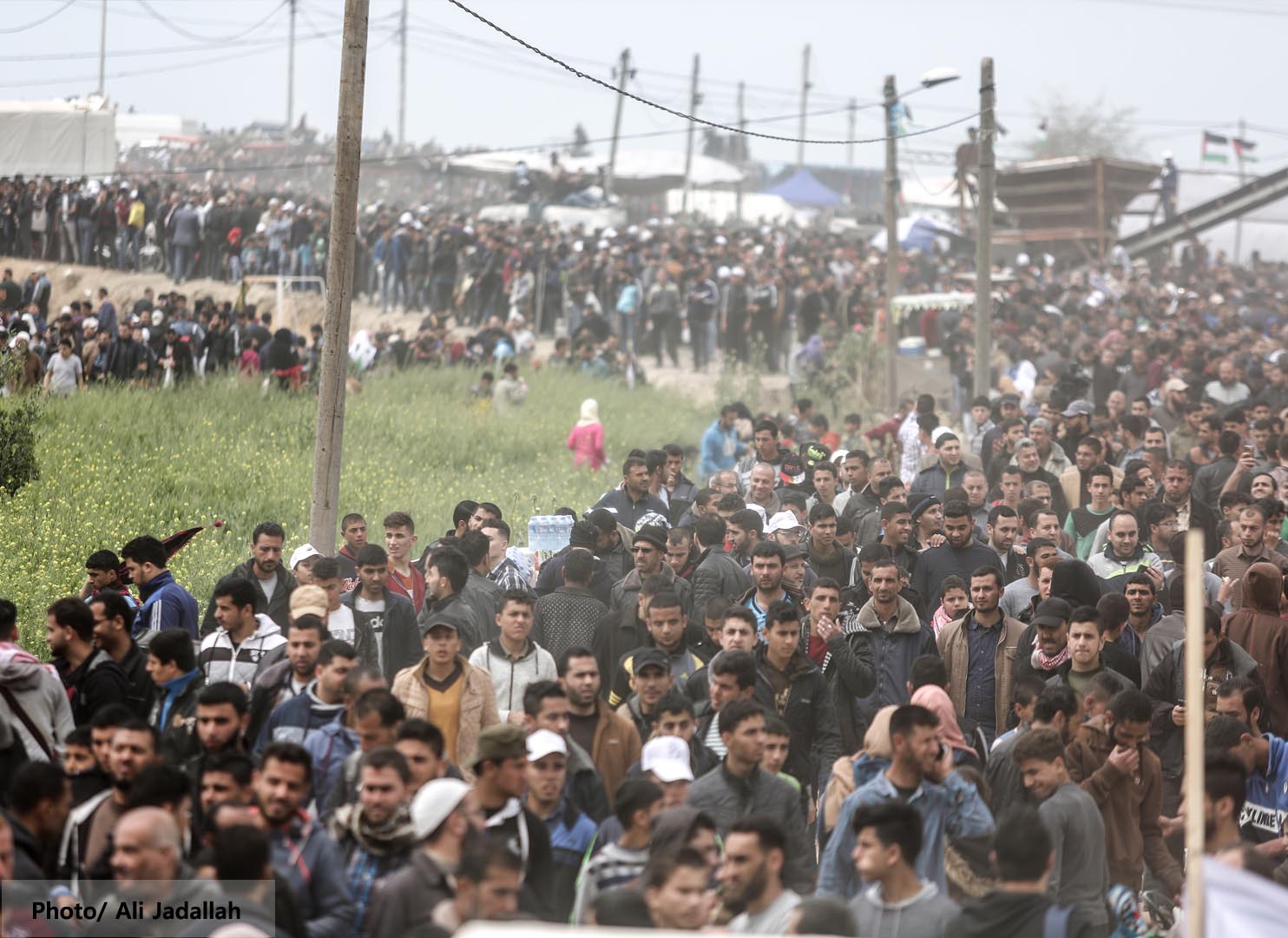 Déclaration de HIC pour une enquête internationale sur les violences à Gaza