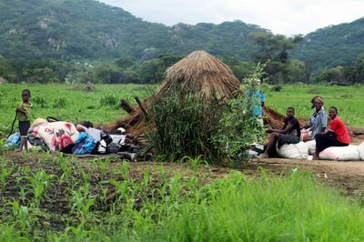 Zimbabwe. Evictions in Manzou Farm