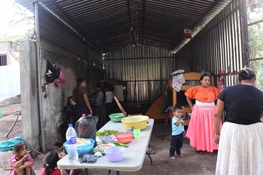 Expelled Mexican Christians forced to live in wine cellar