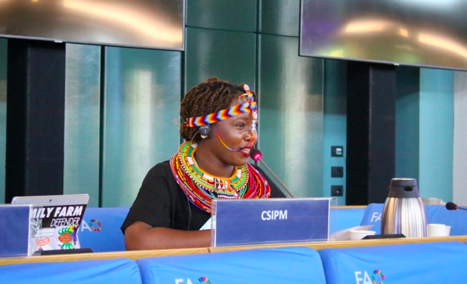A profound, human rights-based transformation of the global food system and economic model is urgently needed : Africa representation at the Committee on World Food Security