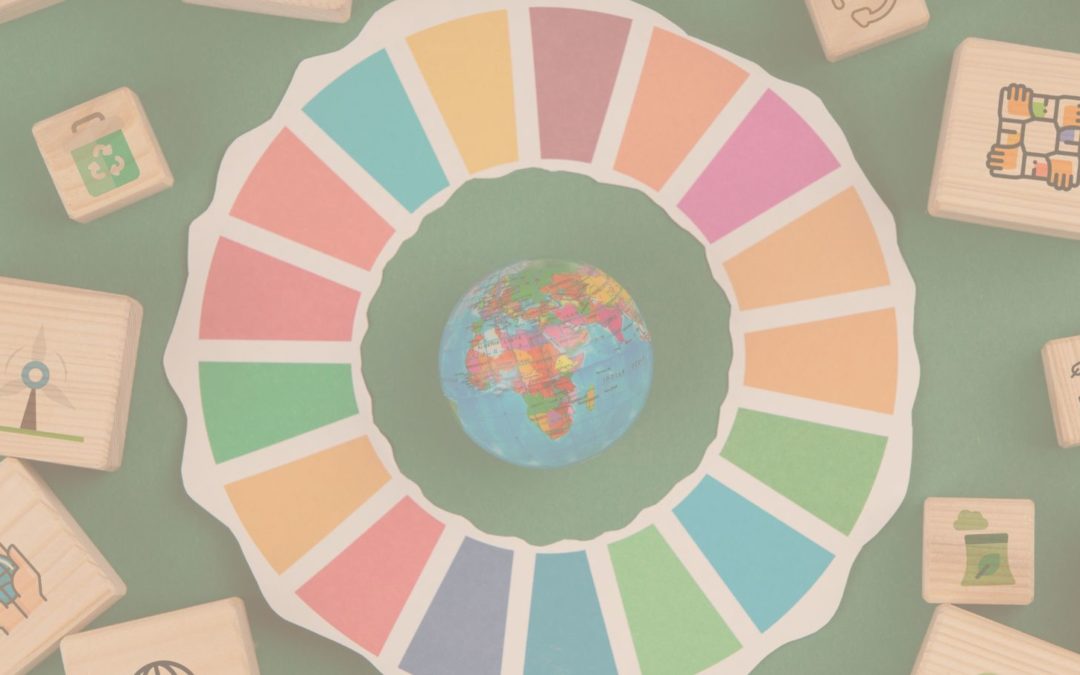 HIC at the second UN-Habitat Assembly: outcomes and reflections