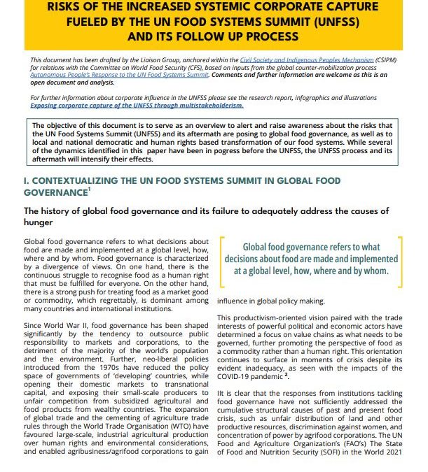 Risks of the increased systemic corporate capture fueled by the UN food systems summit (UNFSS) and its follow up process