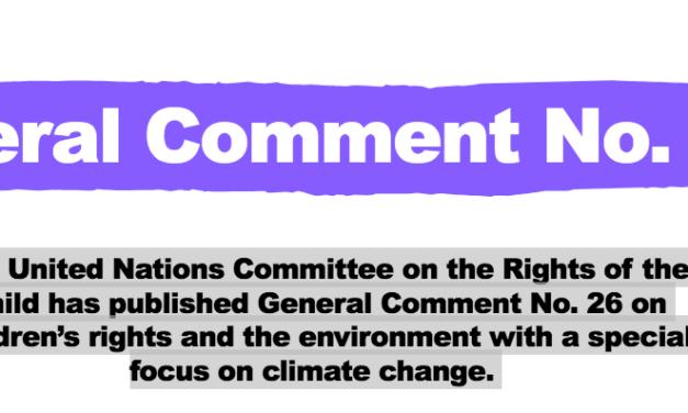 Le Comité des droits de l’enfant des Nations unies invite les États à prendre des mesures dans le cadre des premières orientations sur les droits de l’enfant et l’environnement, en mettant l’accent sur le changement climatique.