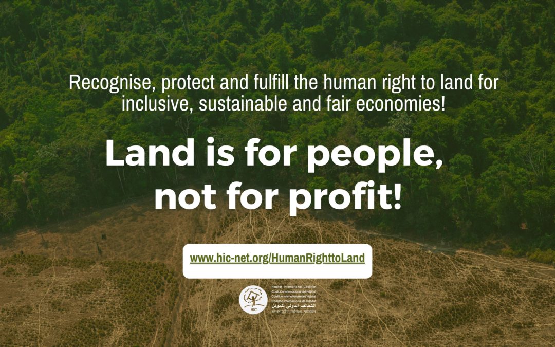 Land is a human right! It’s time for the United Nations to recognize it as such