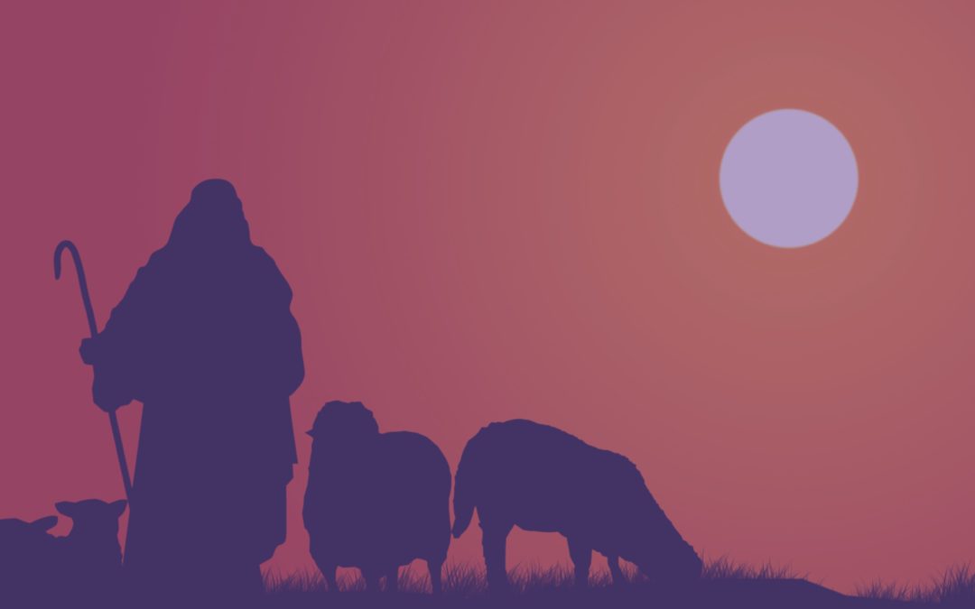 International Day of Rural Women: raising voices and building alliances!
