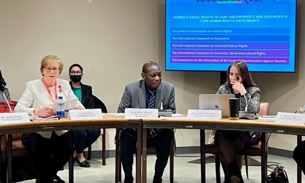 Securing land and habitat rights can help safeguard women against  domestic violence and poverty – CSocD62 event report